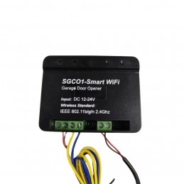 Módulo puerta wifi SGC01